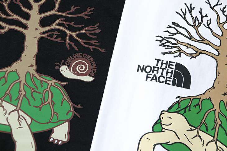 The North Face T Shirts Short _SKUTheNorthFaceM-3XL6ctfT889353935